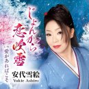 愛があればこそ(아이가아레바코소, 사랑이 있기에) - 安代雪絵(아시로유키에) 이미지
