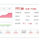 대한비철금속C 태양광발전소 | 2025/06/16:상한가종목/ 상승률 상위종목/ 오늘의 주요상승테마