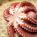 만선해물탕(부산기장점) 이미지