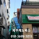 제주캐노픽스 이미지