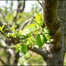 청등농장 이미지