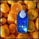 다미농장 이미지