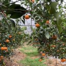 우리두리농장 이미지