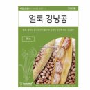 씨앗 쇼핑하우
