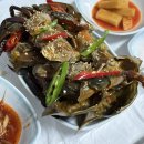 목포역 | 목포간장게장 맛집 '철따라돌게장' 목포역 근처 식사 후기