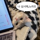 꽃을든남자I | 갑차기스러운데 10월 취소해도 돼?