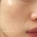 비프코스메틱 | 5천 원대 가성비 픽서? 다이소 비프 루브 메이크업 세팅 픽서 후기 | 다이소 여름 뷰티