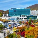 어쩌다가 이미지