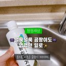 붓들로 | 싱크대 곰팡이 제거 완전정복｜붓으로 바르는 곰팡이 제거제 리얼 후기🧴