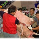 대동체육관 이미지