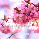 달리는커피 이미지