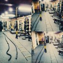 S-GYM 이미지