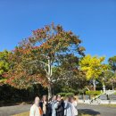 기아카크리닉상봉점 | 제주도 쏠라티 렌트 센스만점 기사님 포함 여행 후기✨