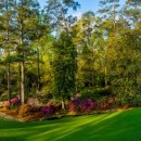 오거스타 골프클럽 이미지