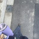 웨스트우드강릉 | 이런 연휴 안 연휴