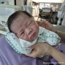 스펙트라베이비맘 | 대전 유성구 산후도우미업체 베이비맘케어 3주 이용후기