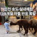돈앤사랑 | 송도 실내동물원 테이블에이앤우쥬 후기｜동물 먹이주기 체험 대만족