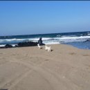 문암민박 이미지