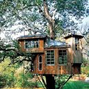 트리하우스 이미지
