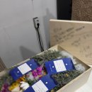 순천 반려동물장례식장 하늘별 이미지