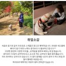 펫시터(반려견) 자격증 과정 이미지