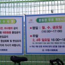 솔숲(매탄공원) 이미지