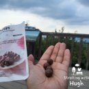 영락농장 | 송내 원점회귀 등산 코스ㅣ 인천부천등산 거마산·소래산·성주산 4시간 30분 종주(깜짝 뱀 출몰 주의!)