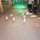 아이러브케밥 이미지