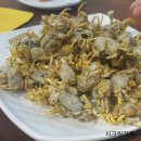 한천휴양림 오토캠핑장 이미지