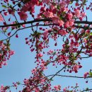 명자농장 이미지