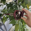 세인트옵티컬 이미지