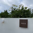 서유의섬 | 6월 제주도 2박 3일. 감성 숙소 서유의 섬 제주도 풀빌라 후기