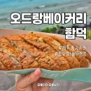 제주 오드랑베이커리 함덕 마늘바게트 두 번째 방문 후기