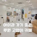 캣플헤븐 | 루원시티 고양이카페 캣플헤븐 후기 | 아이와 가기 좋은 인천 실내 데이트