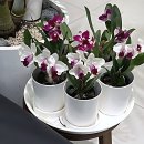 대성산업(주)낙동강주유소 | 드디어 찾았다! 여기가 바로 찐 부산 카페 추천 성지인가봐