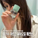모리쉬(moreish)