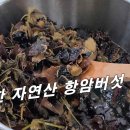 [항암버섯효소] 귀한몸 중국 황실의 비법 대 공개. 이미지