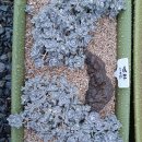 모퉁이마을경로당 이미지