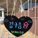 지수면-2 | 진주 애견 펜션 추천, 독채 마당에서 제대로 힐링한 후기