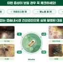 정직한 동물병원 이미지