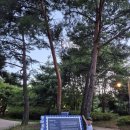 서리풀공원1-16 이미지