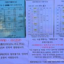 시루섬 | 전남 여수 가볼만한곳 전라도 섬여행 사도 공룡발자국을 찾아서