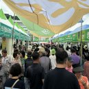 홍천체육관(실내) 이미지