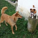 멍구멍구 이미지