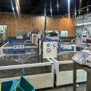 어시장 활어회직거래 판매장 이미지