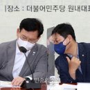 김영배 카카오 검색결과