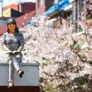 도시숲 산책길 이미지