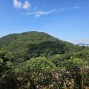 신선대산복로 이미지