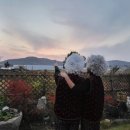 부여농부의집 이미지