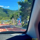거창당일치기여행 감악산 꽃&별 여행 바람 좋은 날 거창벌바람언덕 아스타 국화축제 후기